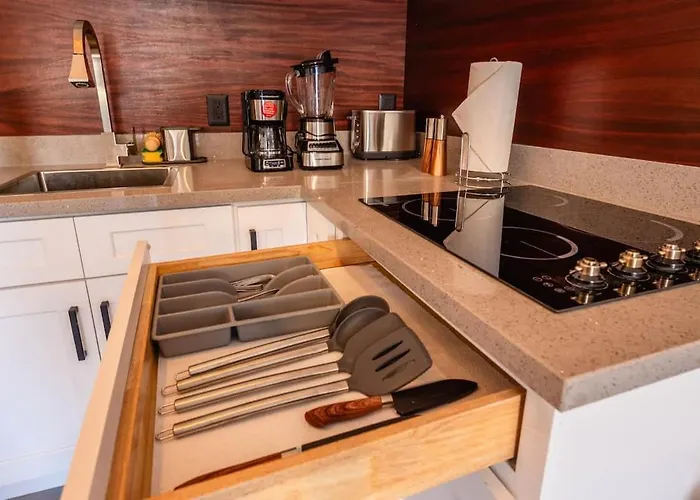Apartment New Listing Luxury In